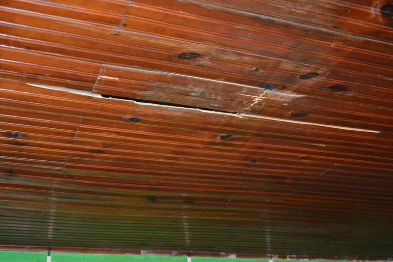 dsc-6118
