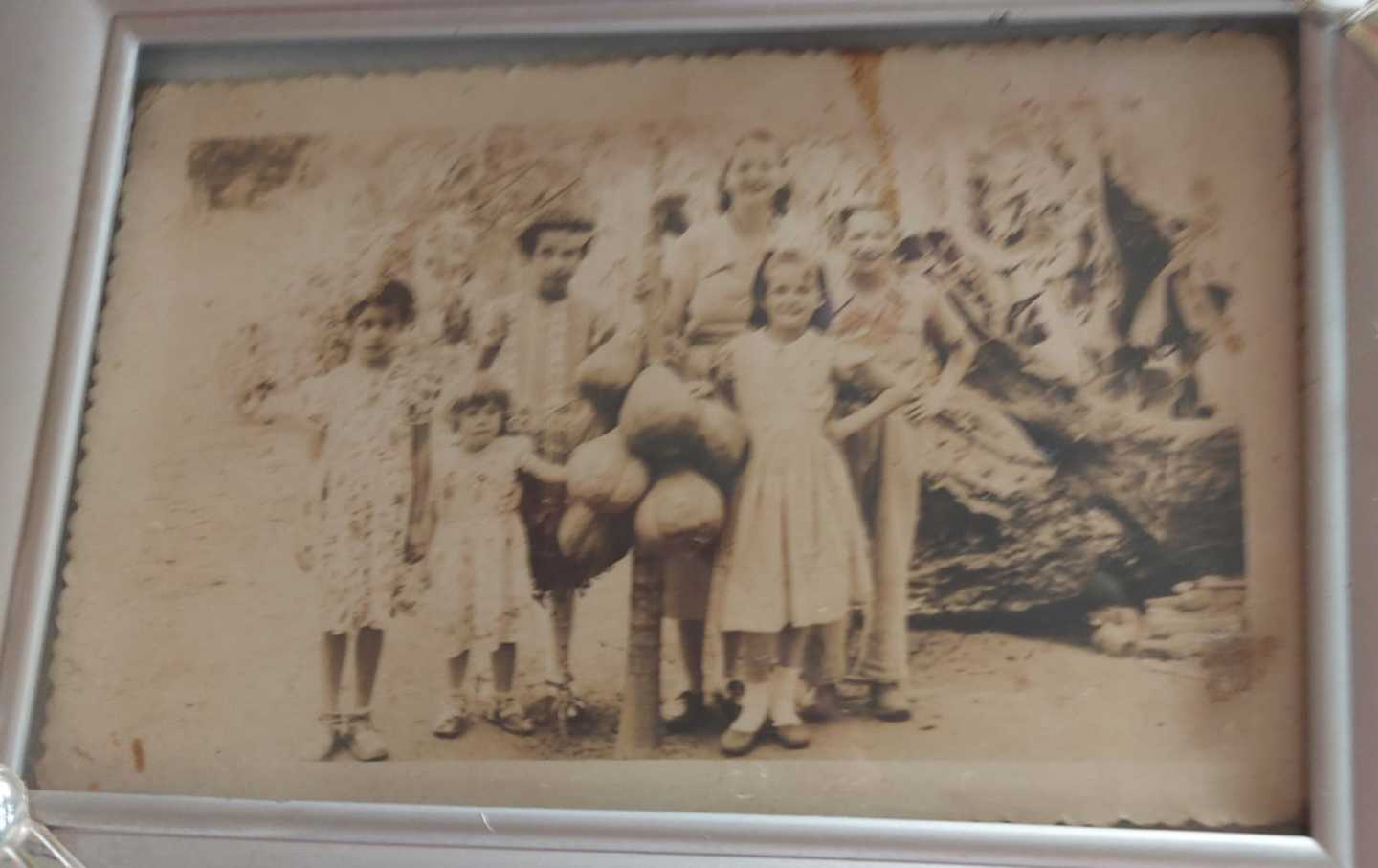 whatsapp-image-2022-01-26-at-183940_1