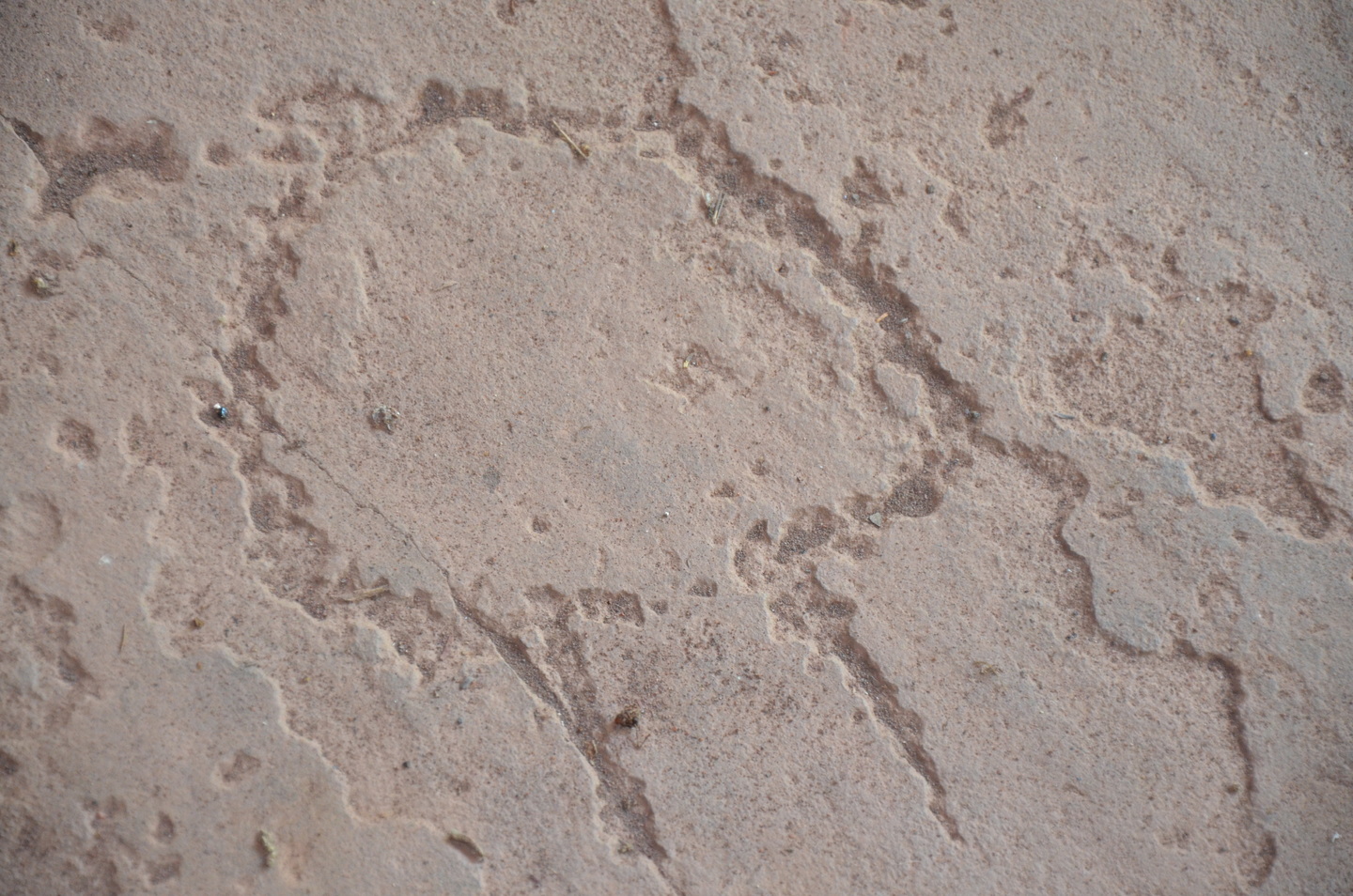 dsc-0155_1