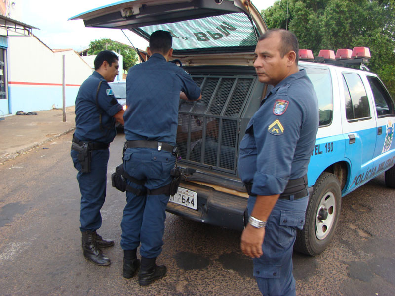 17685035852a5b0200de2d9.29711767