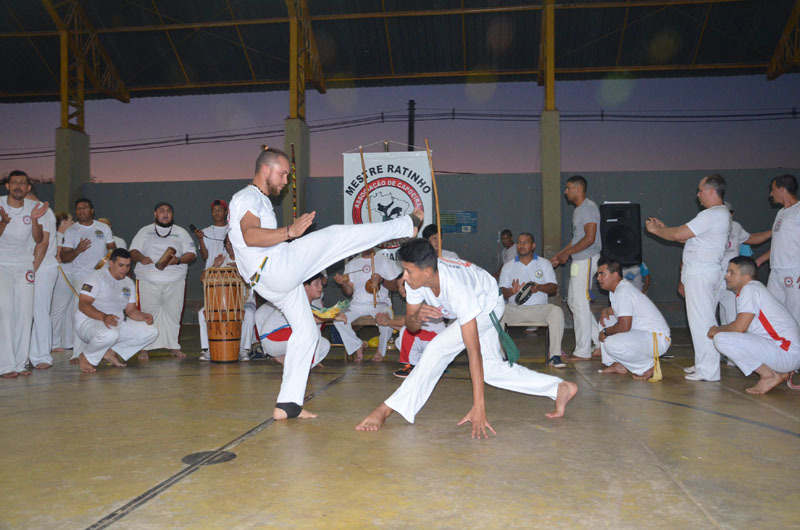 dsc-0291