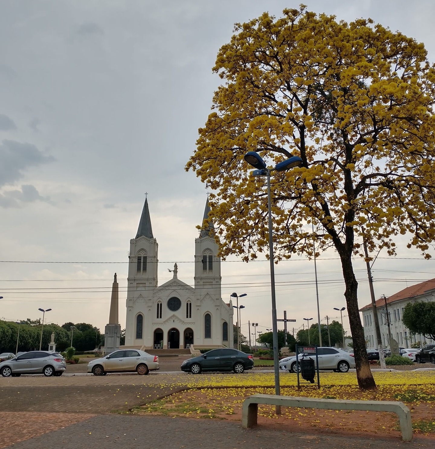 Foto por Sara Morais.