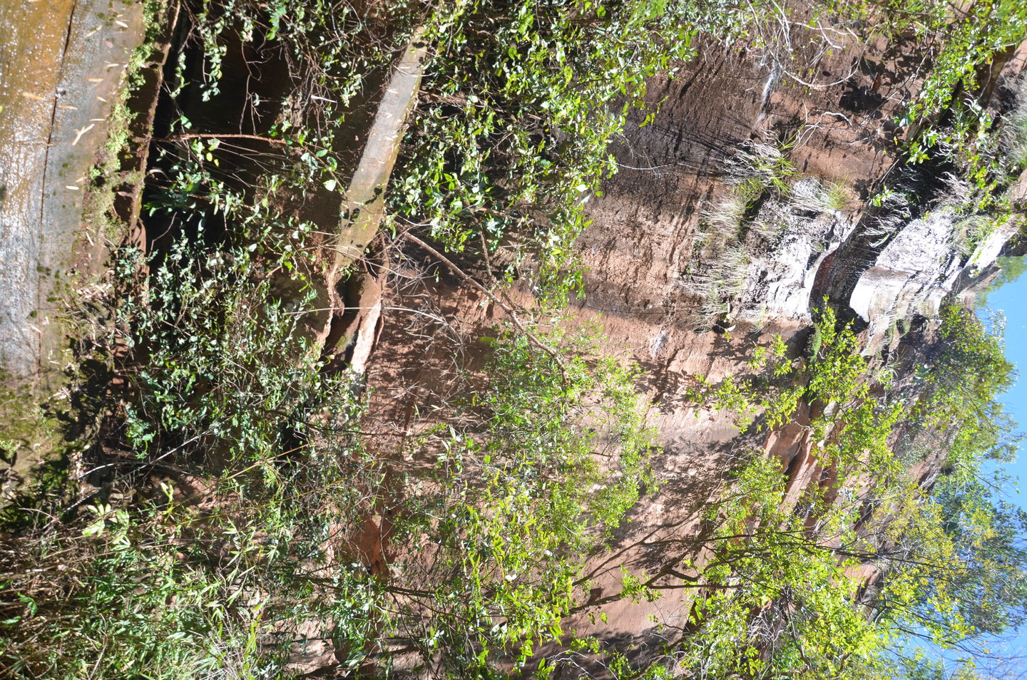 dsc-0113_1