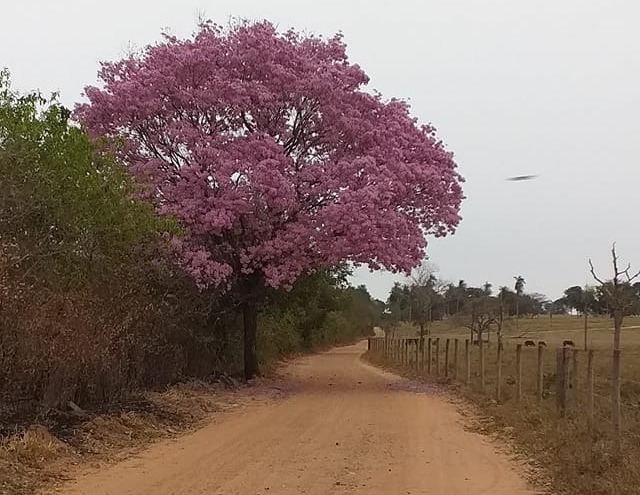 Foto por Nely Marques.