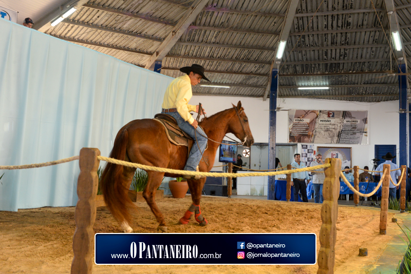 quinto-dia-15