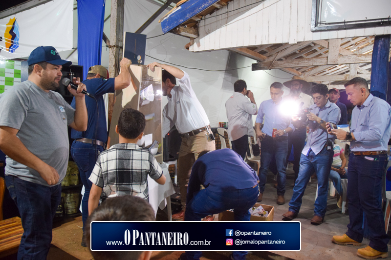 quarto-dia-84