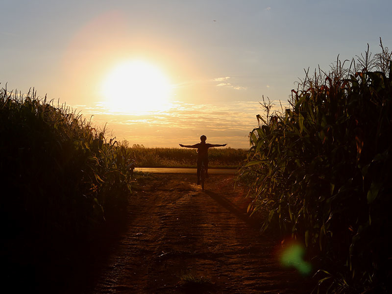 Thaise Paré Dias (Central Sicredi Brasil Central – Sicredi Pantanal MS)