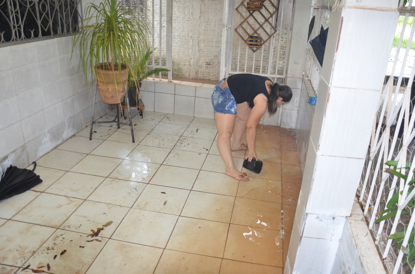 dsc-0251