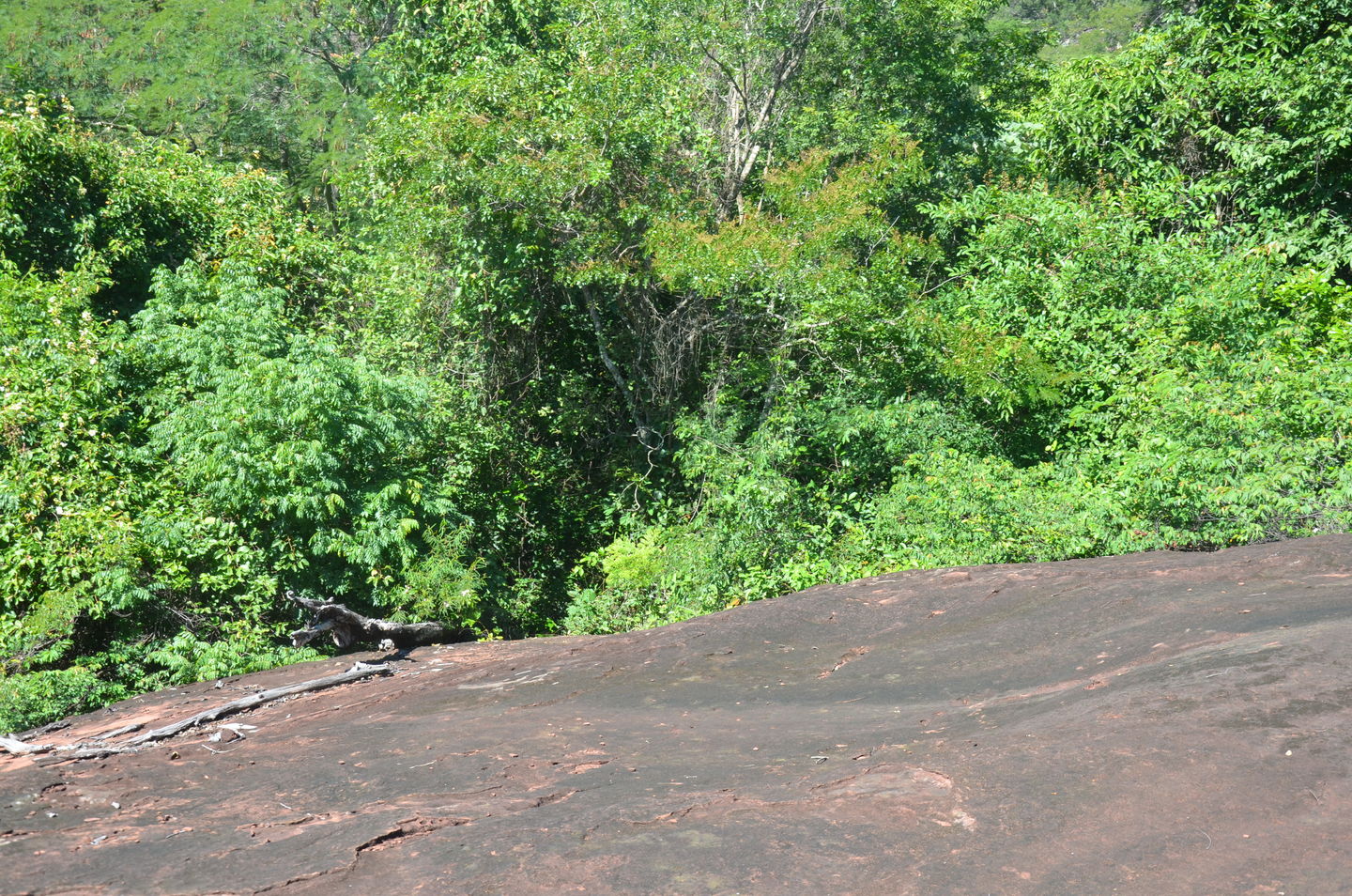 dsc-0053_1