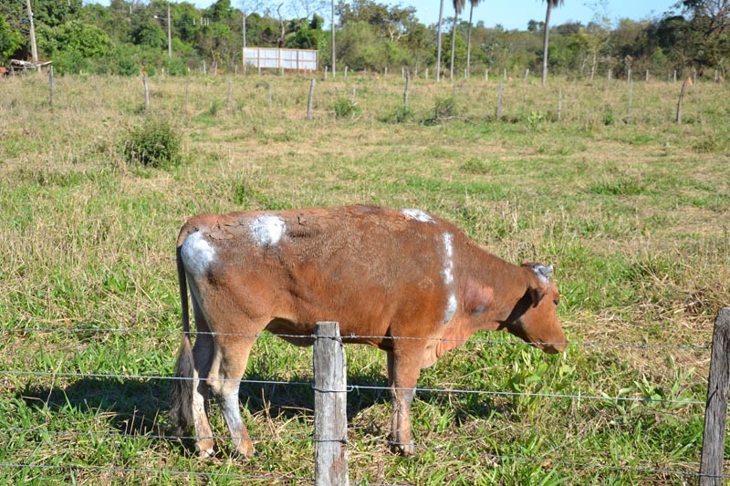 dsc-6885