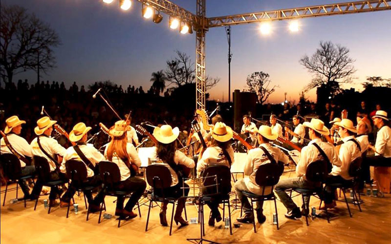 Orquestra Revoada Pantaneira foi criada em 2007 (Foto: Divulgação)