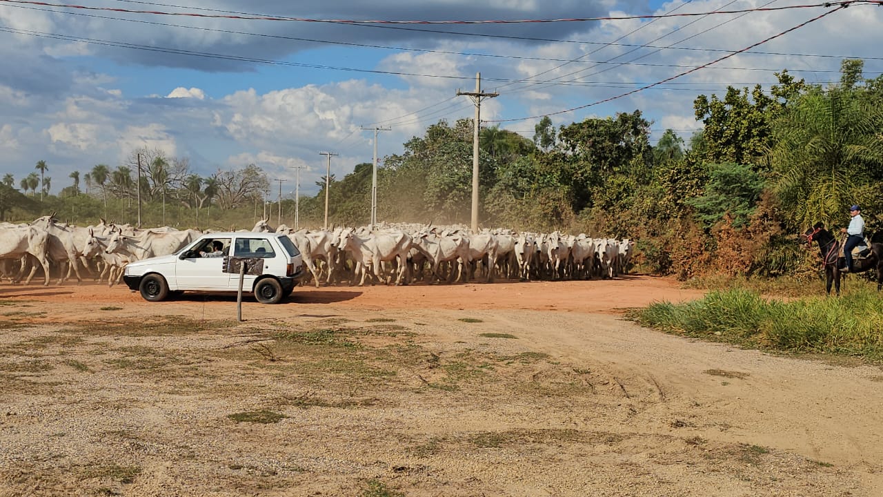 comitiva-gado-travessia-aquidauana-anastacio-10