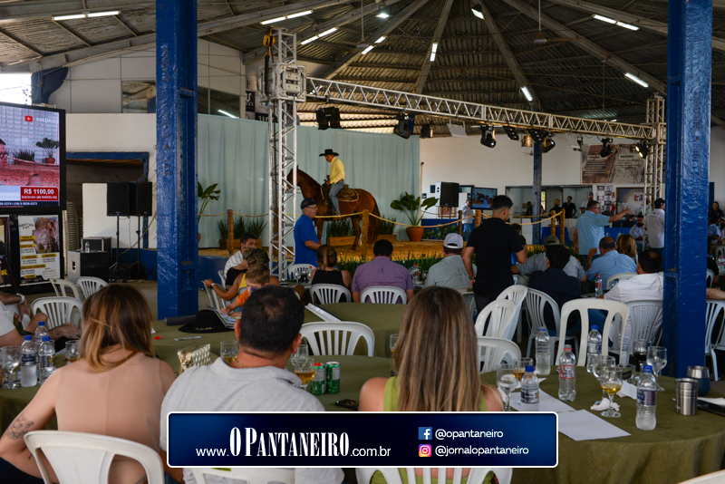 quinto-dia-14