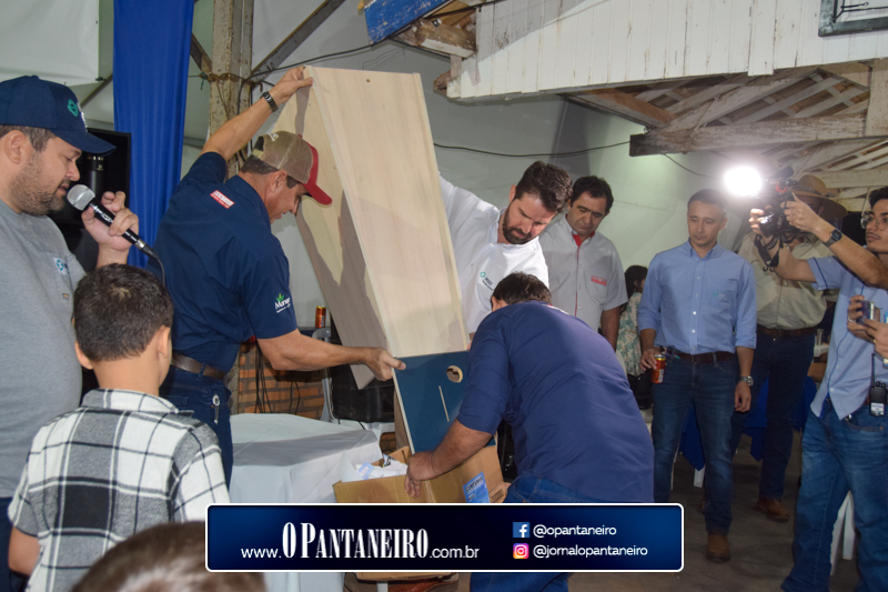 quarto-dia-82
