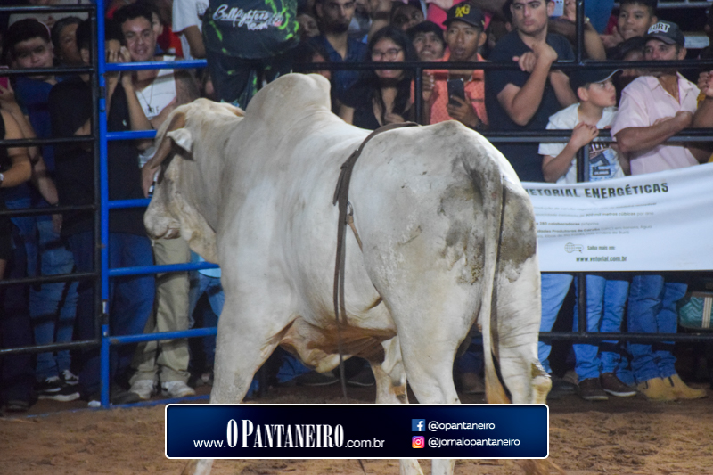 quarto-dia-136