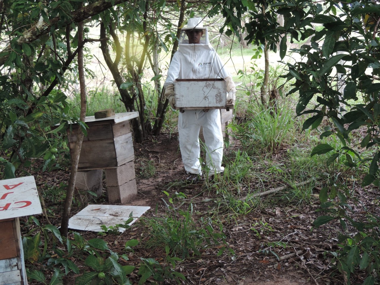dscn4422