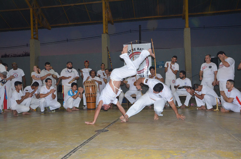 dsc-0313