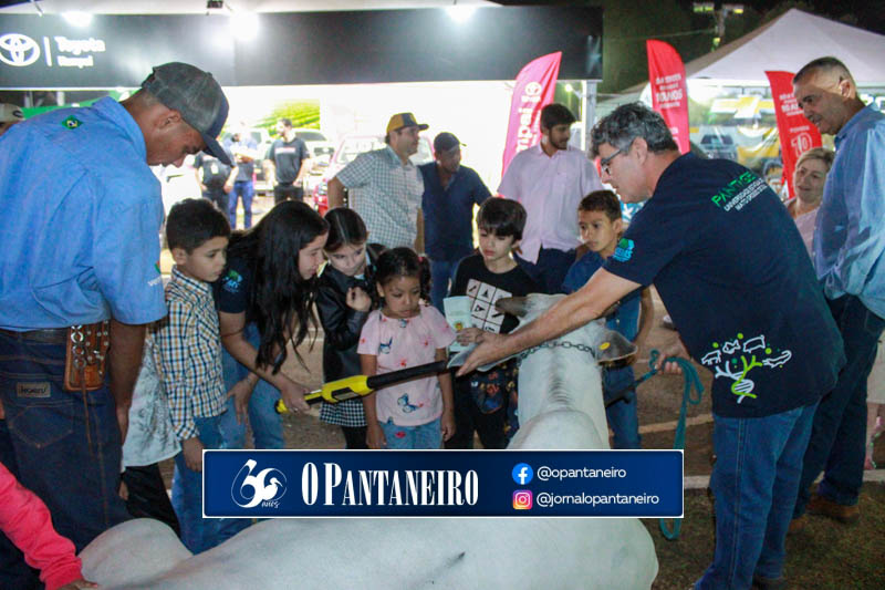 img-0691