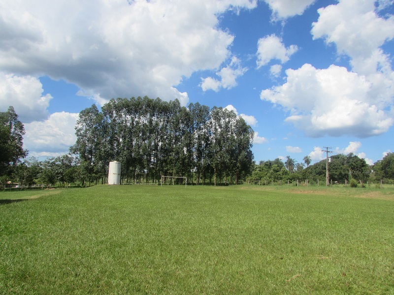 125486920056b5f75dc7d9a0.45518281