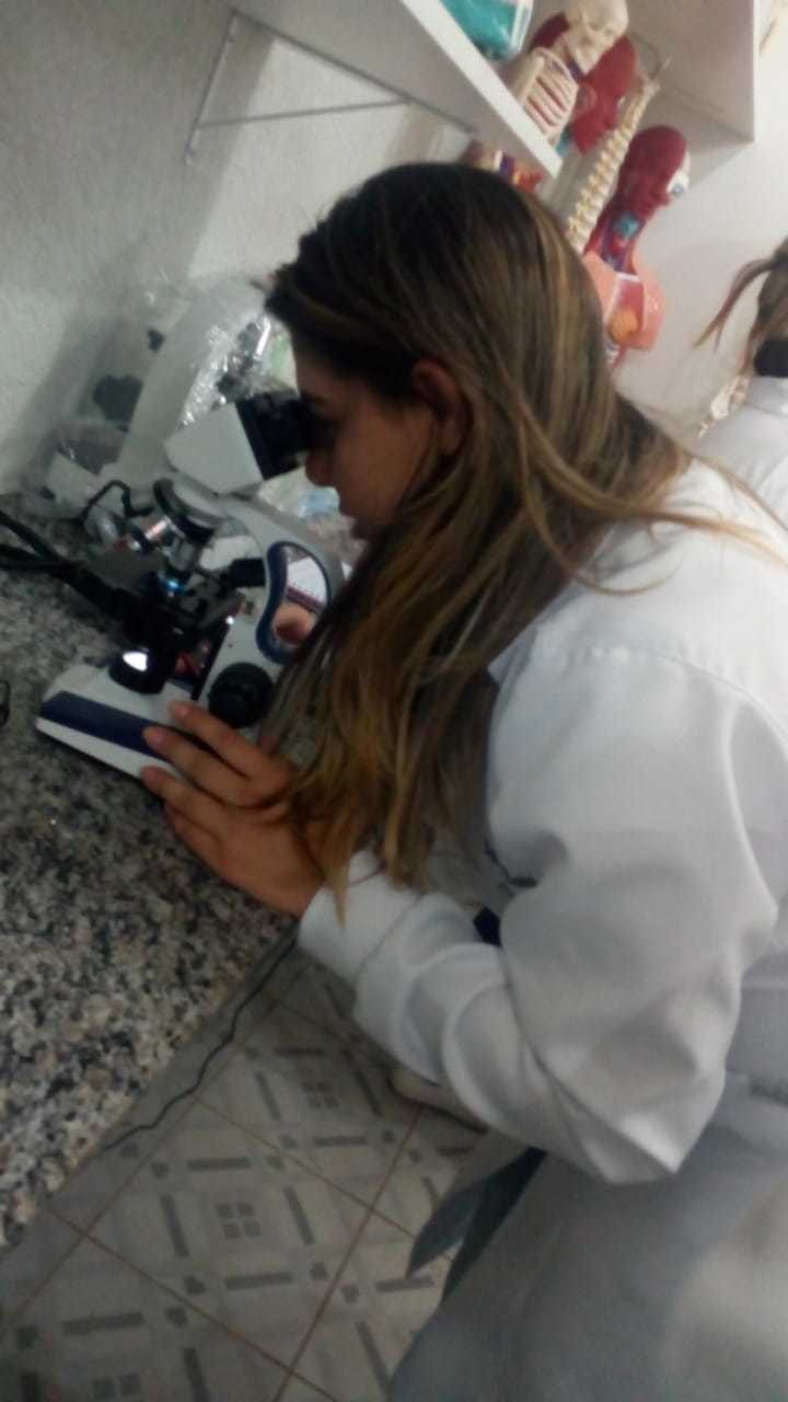 enfe6