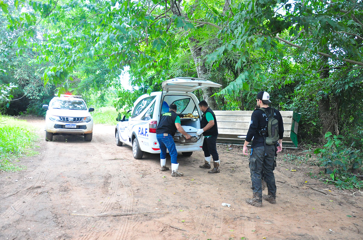 destaque-para-site-07